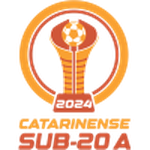 Логотип Catarinense U20