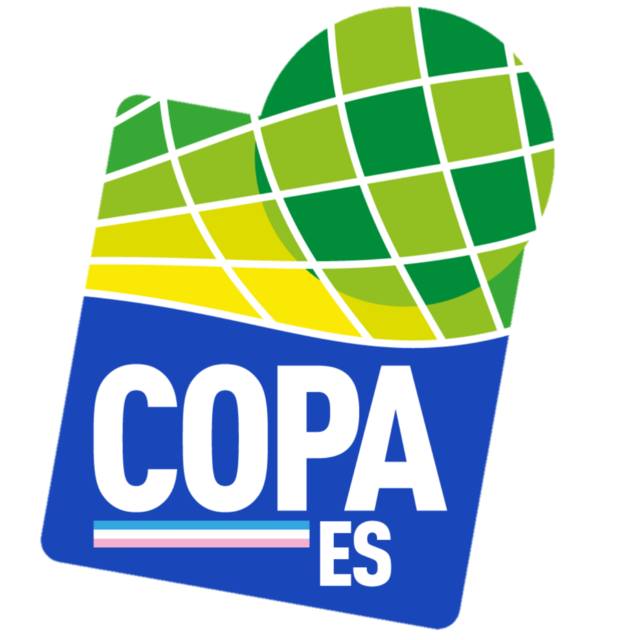 Логотип Copa Espírito Santo