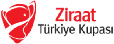 Логотип Турция Купаси