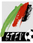 Логотип Landesliga - Steiermark