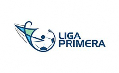 Логотип Primera Division