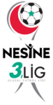 Логотип 3. Lig - Group 2