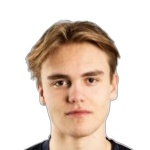 Л. Алвеим photo