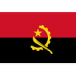 ANG logo