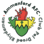 Амманфорд AFC