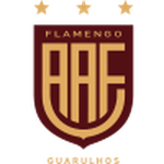 Фламенго logo