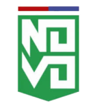 Ново Еспорте Клубе
