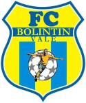Bolintin Vale logo