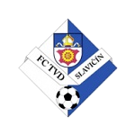 Славичин logo