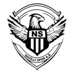 Nazilli Belediyespor logo