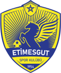 Етимесгут SK