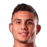 Амед Гамал